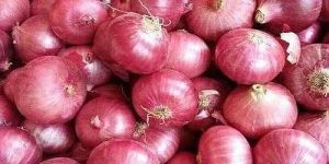 Maharashtra A Grade Fresh Pink Onion