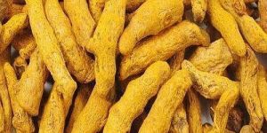 Polished Turmeric Finger