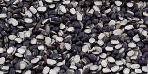 Split Black Urad Dal