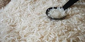 Pusa Basmati Rice