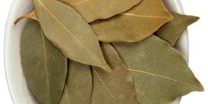 Dried Bay Leaf