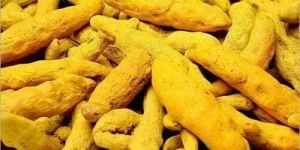Turmeric Finger