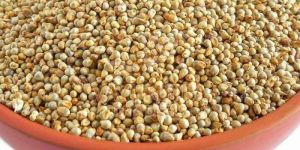 Natural Pearl Millet