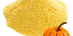 Dehydrated Pumpkin Powder