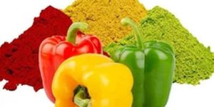 Dehydrated Yellow Bell Pepper Powder