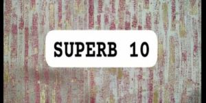 Superb Curtain Fabric