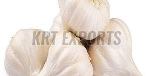 a Grade White Fresh Garlic
