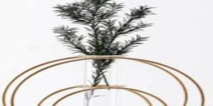 Round Shape Metal Wire Glass Tube Vase