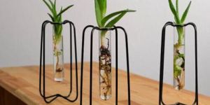 Set OF 3 Black Metal Wire Glass Tube Vase