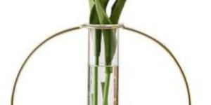 Single Metal Wire Glass Tube Vase