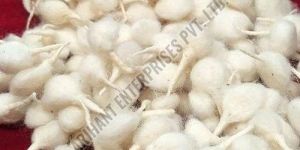 White Round Cotton Wicks