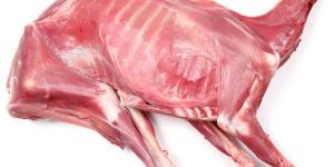 Fresh Lamb Meat
