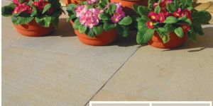 Sandblasted Mint Sandstone Slab