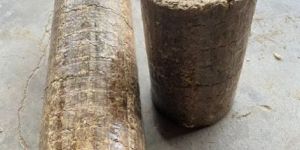 60mm Biomass Groundnut Shell Briquettes