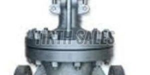 Wcb Globe Valve