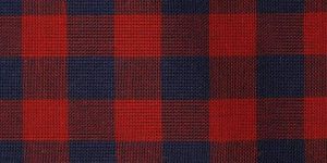 Red And Blue Cotton Check Fabric