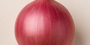 Red Golti Onion