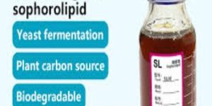 sophorolipids sufactant