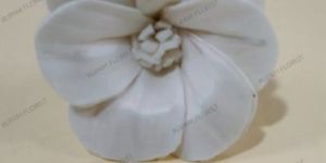 Sola China Rose Flower