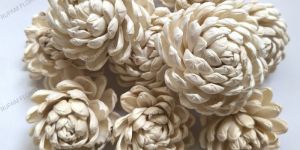 Sue Sola Wood Flowers