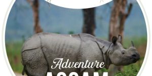 awesome assam tour package