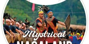 mystical nagaland tour package