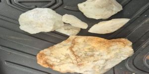 Natural Quartzite Stone