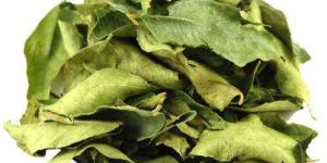 Dry Curry Leaves