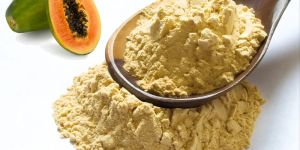 Dehydrated Papaya Powder