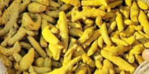 Turmeric Finger