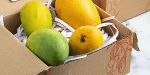 Corrugation Box for 4 Piece Mango