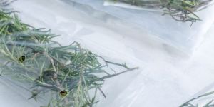 self adhesive ldpe plastic bag