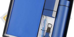 Metal 5 In 1 Blue Notebook Pen Key Chain Card Holder And Bottle Corporate Gift Set