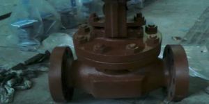Wcb Flanged Globe Valve