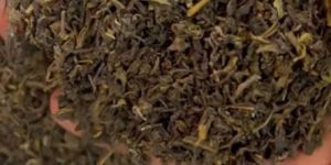 Assam Green Tea