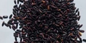 Black Rice