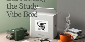 Study Vibe Gift