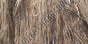 Raw Jute