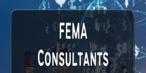 FEMA Consultant