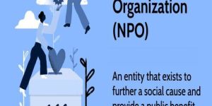 Non-Profit Organisation (NGO)