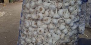 Vip Fresh White Garlic