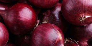 A Grade Dry Medium Red Onion
