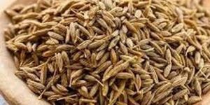 Brown Cumin Seeds
