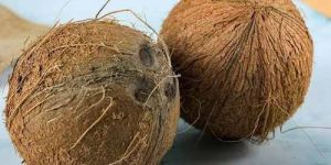 Medium Fully Husked Coconut