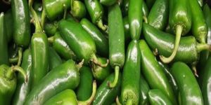 Natural Green Chilli