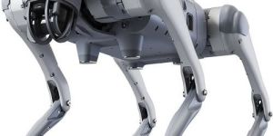 Unitree Go2 Mobile Robot