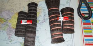 stallone group natural horse goat cattle hair bristle