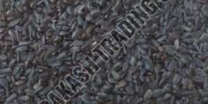 Sunflower Oil Seeds & Bird Feeding Seeds
