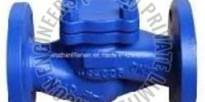 Lift Check Valve