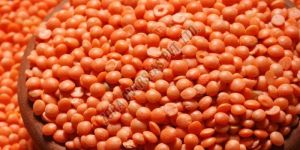 Whole Red Masoor Dal